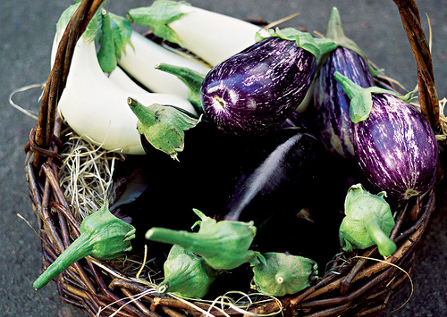 Eggplants image
